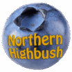 Northern Highbush